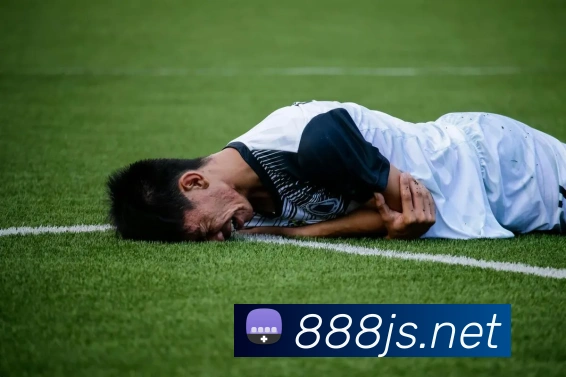澳门金沙线上官网服务体系